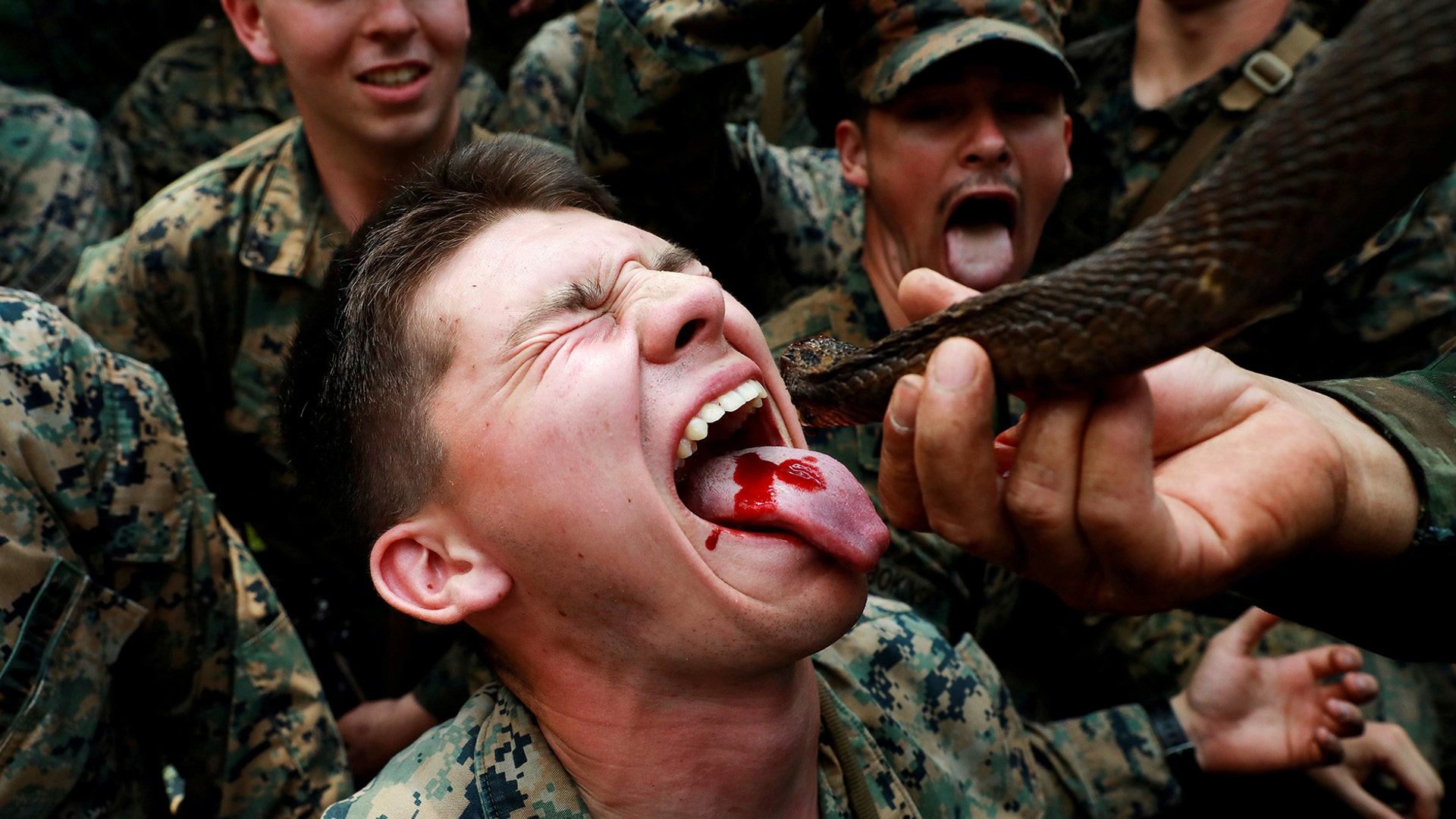A soldier is fed snake blood during the Cobra Gold multilateral military exercise in Chanthaburi, Thailand, Feb. 14, 2019. 