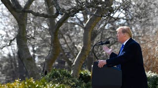 Trump vs warren florida