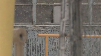 Michigan man dies after falling into tank of sulfuric acid