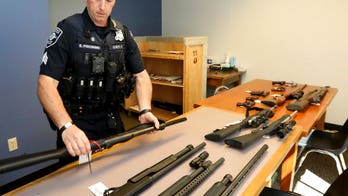 Red flag law proposals raise stakes in gun reform debate