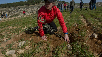 Future rabbis plant with Palestinians, sow rift with Israel