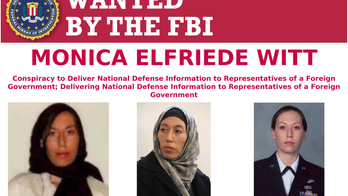 Indicted US intelligence analyst once drew media across Iran