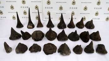 $1 million worth of rhino horns seized at Hong Kong airport
