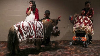 Mini horse walks runway at New York Fashion Week, makes history