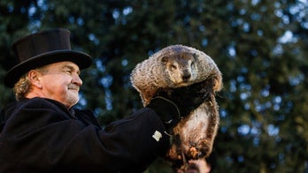 Groundhog Day: Punxsutawney Phil doesn't see his shadow, predicts an early spring