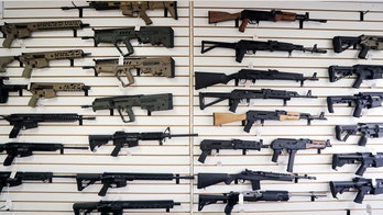 House passes bill expanding background checks for gun sales