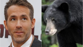 Ryan Reynolds recalls scary bear encounter during camping trip: ‘We screamed bloody murder'