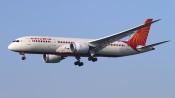 Air India apologizes to passenger who claims cockroach was cooked into in-flight meal