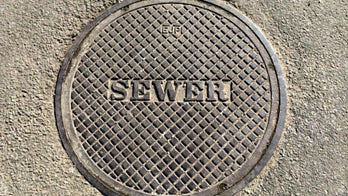 WATCH YOUR STEP! Man glued to cellphone falls into manhole: report