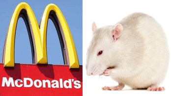 Man releases giant rat inside NJ McDonald's, patrons go wild