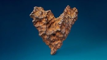 Rare heart-shaped meteorite up for auction ahead of Valentine’s Day