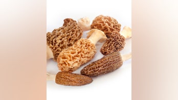 Woman dies after eating mushroom dish at Michelin-starred restaurant in Spain, reports say