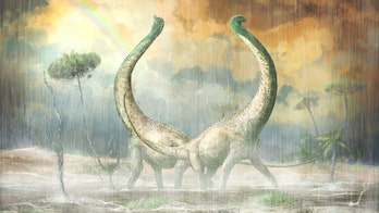 School-bus sized dinosaur had a 'heart-shaped tail'