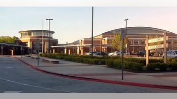 THC found in Valentine's Day food samples taken from Georgia school where 28 were sickened