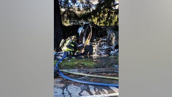 Fatigued Tesla employee survived fiery wreck with minor injuries, police said