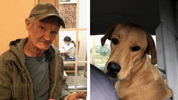 New Mexico hunter shot by dog says dog was fatally shot weeks later: report