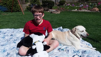 The Daily Spike: Puppy love and finding the perfect match