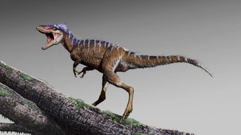 4-foot-tall T. rex cousin discovered, was a 'harbinger of doom'