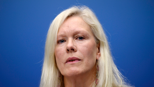 Sweden FM says she's upset by ambassador to China case