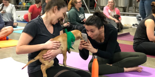 A participant takes a photo with Scout the puppy. (JULIAN BROWN)