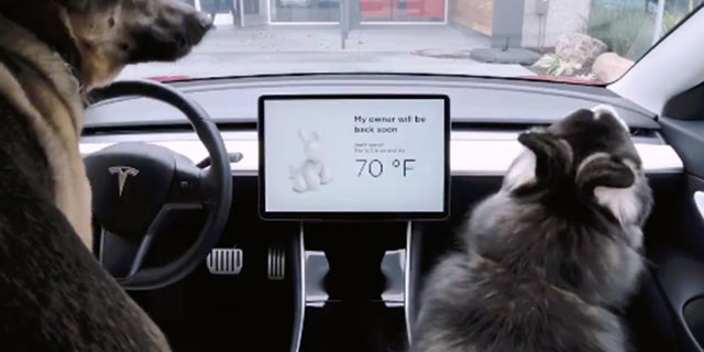 Tesla's latest features are for criminals and dogs | Fox News