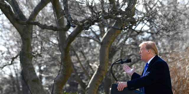 President Donald Trump speaks during an event in the Rose Garden at the White House in Washington, Friday, Feb. 15, 2019, to declare a national emergency in order to build a wall along the southern border. (AP Photo/Susan Walsh)