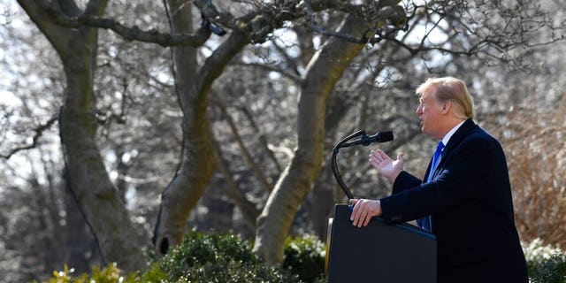 President Donald Trump speaks during an event in the Rose Garden at the White House in Washington, Friday, Feb. 15, 2019, to declare a national emergency in order to build a wall along the southern border. (AP Photo/Susan Walsh)