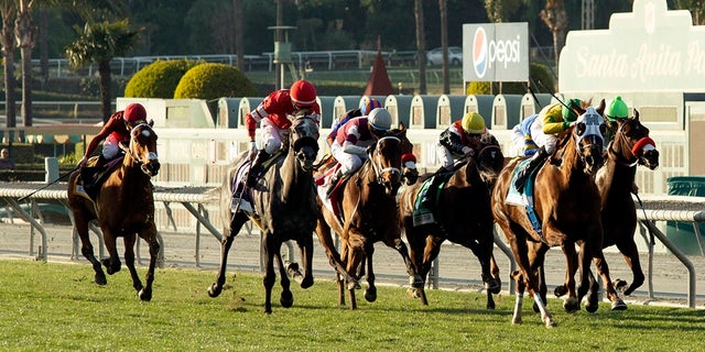 In this image provided by Benoit Photo, Vasilika, second from right, with Flavien Prat aboard, draws away in mid-stretch and goes on to win the Grade II, $200,000 Buena Vista Stakes horse race Saturday, Feb. 23, 2019, at Santa Anita Park in Arcadia, Calif. (Benoit Photo via AP)