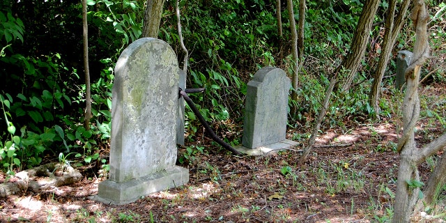 A new bill has been introduced in Congress that would preserve and document in a nationwide database the discovery of lost African-American burial sites