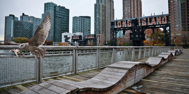 FILE - In this Nov. 13, 2018, file photo, a bird flies off holding fish scraps near a former dock facility, with "Long Island" painted on old transfer bridges at Gantry State Park in the Long Island City section of the Queens Borough in New York. Amazon said Thursday, Feb. 14, 2019, that it will not be building a new headquarters in New York, a stunning reversal after a yearlong search.