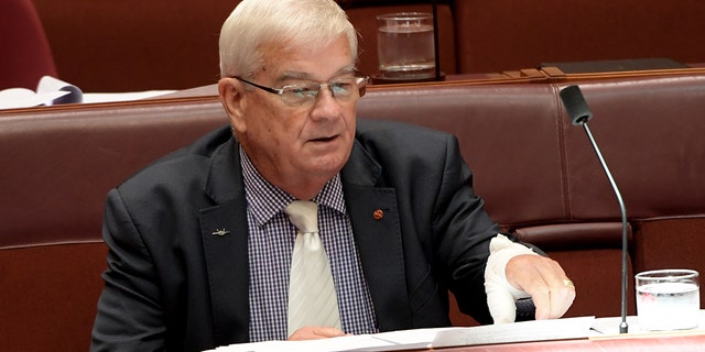 Senator Brian Burston, pictured with a bandage on his hand, admitted that he had smeared his blood on the door of One Nation leader Pauline Hanson's door after a scuffle with her aide in the parliament halls.