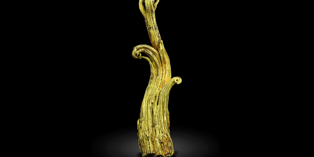 This undated image provided by the Mineralogical and Geological Museum of Harvard University shows a rare gold specimen called the "Ram's Horn." A team of scientists used neutrons from a particle accelerator at Los Alamos National Laboratory in New Mexico to learn more about the specimen's structure and formation process. (Mineralogical and Geological Museum of Harvard University via AP)