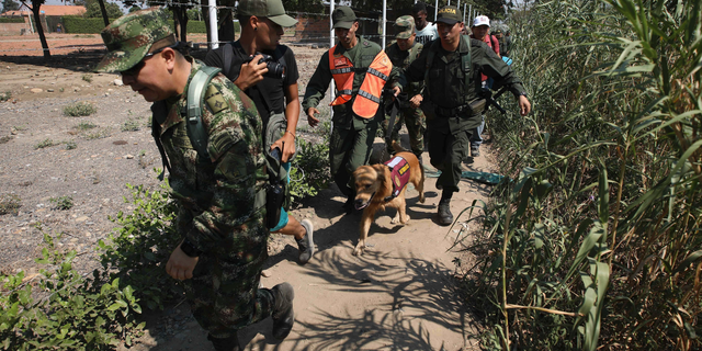 Colombian soldiers escort two Venezuelan National Guardsmen who deserted their post near the Simon Bolivar International Bridge, in La Parada, Colombia, Monday, Feb. 25, 2019. (AP Photo/Fernando Vergara)