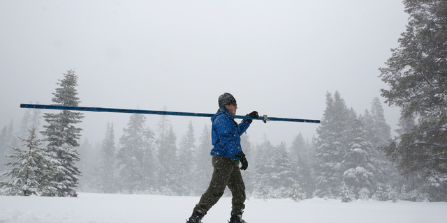 Snow falls as John King of the Department of Water Resources, crosses a meadow while conducting the third manual snow survey of the season at the Phillips Station near Echo Summit, Calif., Thursday, Feb. 28, 2019. The survey found the snowpack at 113 inches deep with a snow water equivalent of 43.5 inches at this location at this time of year. (AP Photo/Rich Pedroncelli)