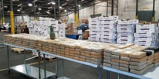 More than $19 million of cocaine was seized at the Port of Savannah by federal agents.