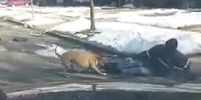 A dog attacked a mail carrier on Detroit's West Side on Friday.