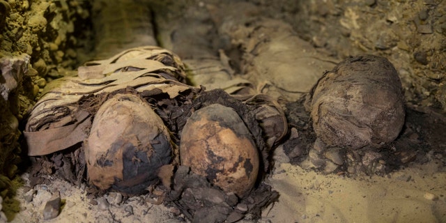 Mummies lie in a recently discovered burial chamber in the desert province of Minya, south of Cairo, Egypt, Saturday, Feb. 2, 2019.