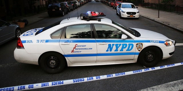 A select few precincts, specifically in Brooklyn, are said to be where a majority of the shootings and homicides have taken place this year. Through "precision deployment," additional officers will be sent to patrol the 34th, 43rd, 79th, and 113th precincts, in the Bronx, the Bed-Stuy neighborhood of Brooklyn, and Jamaica, Queens, respectively