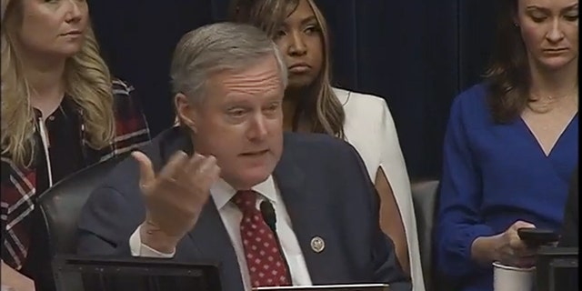 Lynne Patton sitting behind Rep. Mark Meadows at the Michael Cohen hearing.