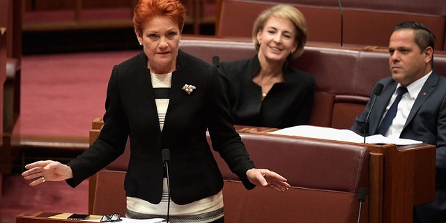 Senator Pauline Hanson, pictured in parliament in November, appears to have started the chain of events by using parliamentary privilege to accuse an unnamed senator of sexually harassing at least six staffers.