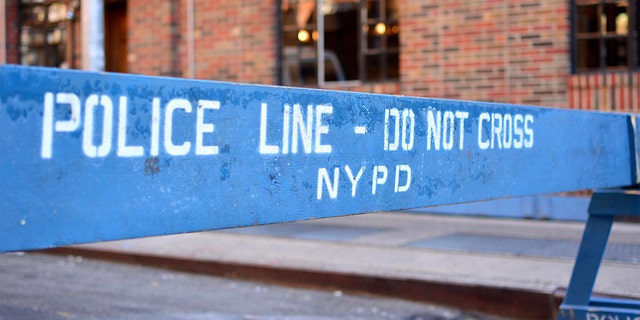 A mother and her teen son were bludgeoned to death in their New York City apartment Sunday, police say.