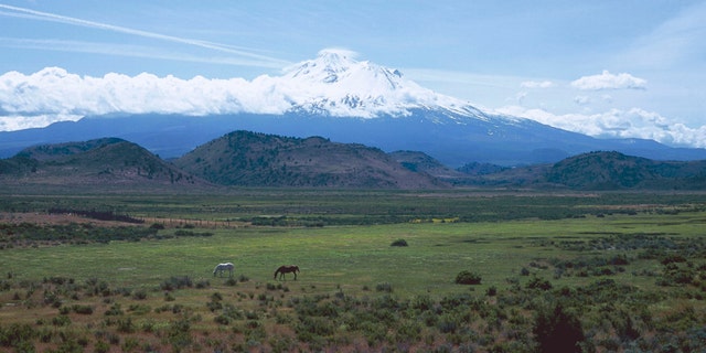 File photo - the Shasta volcano in California, United States