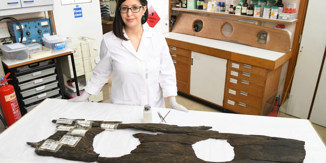 Conservator Luisa Duarte works on the 12th-century triple toilet seat, before it goes on display as part of the Museum of London Docklands Secret Rivers exhibition.