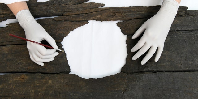 Conservator Luisa Duarte works on the triple toilet seat.