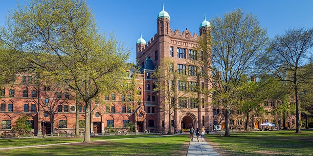 Yale University campus on April 4, 2015. (iStock)