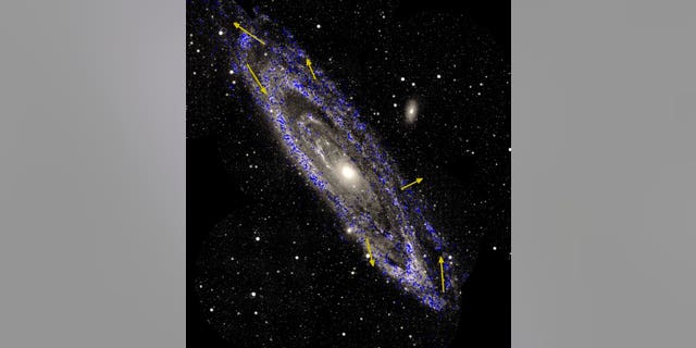 A view of the Andromeda galaxy, also known as M31, with measurements of the motions of stars within the galaxy. This spiral galaxy is the nearest large neighbor of our Milky Way.