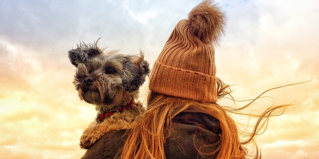 “Hold on to your pooch!”