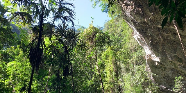 For those in search of adrenaline-pumping excursions that’ll have you in awe of your fearlessness for years to come, book a trip to Belize.<br>