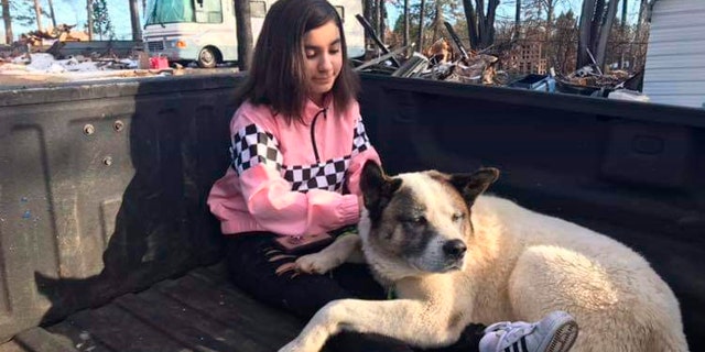 This Feb. 18, 2019 photo provided by Ben Lepe shows Maleah Ballejos reunited with her dog Kingston in Paradise, Calif. The Akita named Kingston was reunited with his family 101 days after he jumped out of their truck as they fled a devastating Northern California wildfire.