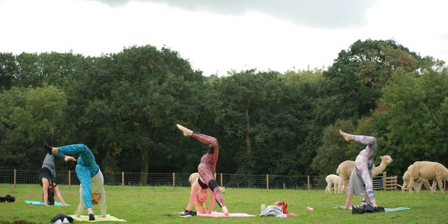 Each session is led by qualified instructor Sian Bartlett, and light refreshments are provided after each class.